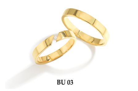 BU003