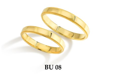 BU008